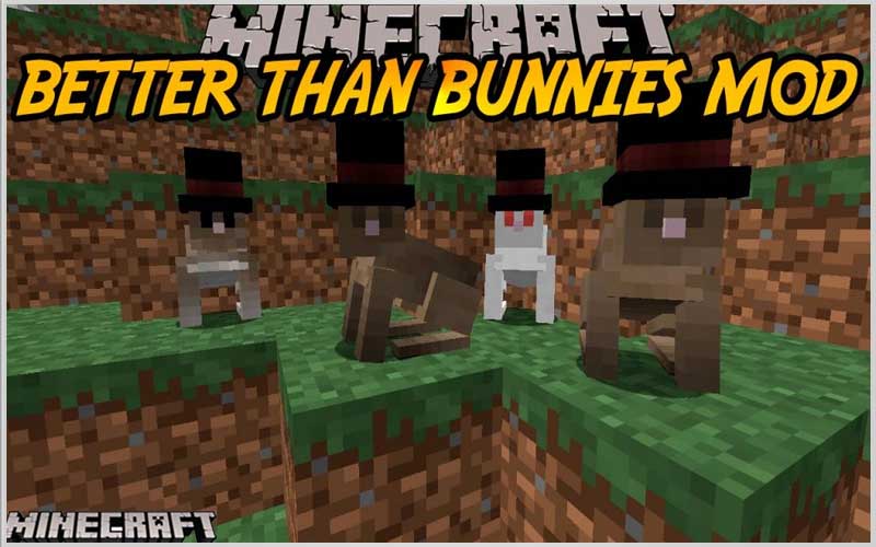 Better Than Bunnies