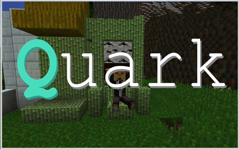 Quark