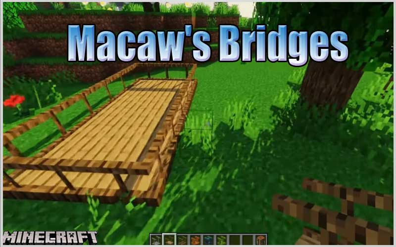 Macaw's Bridges