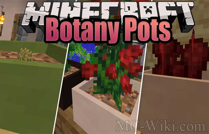 Botany Pots Wiki