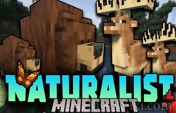 Minecraft Naturalist Mod Wiki