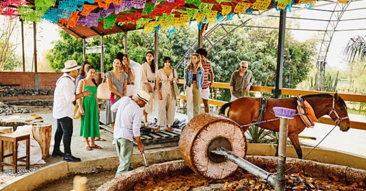 Tre Colore Millstone NJ